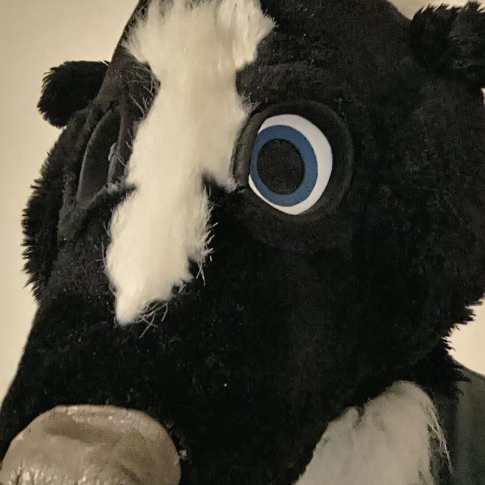 Skskunk's avatar