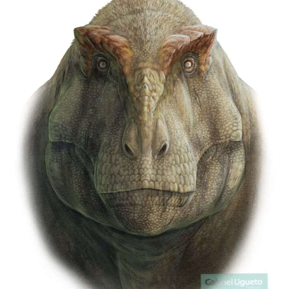 HeavyDino