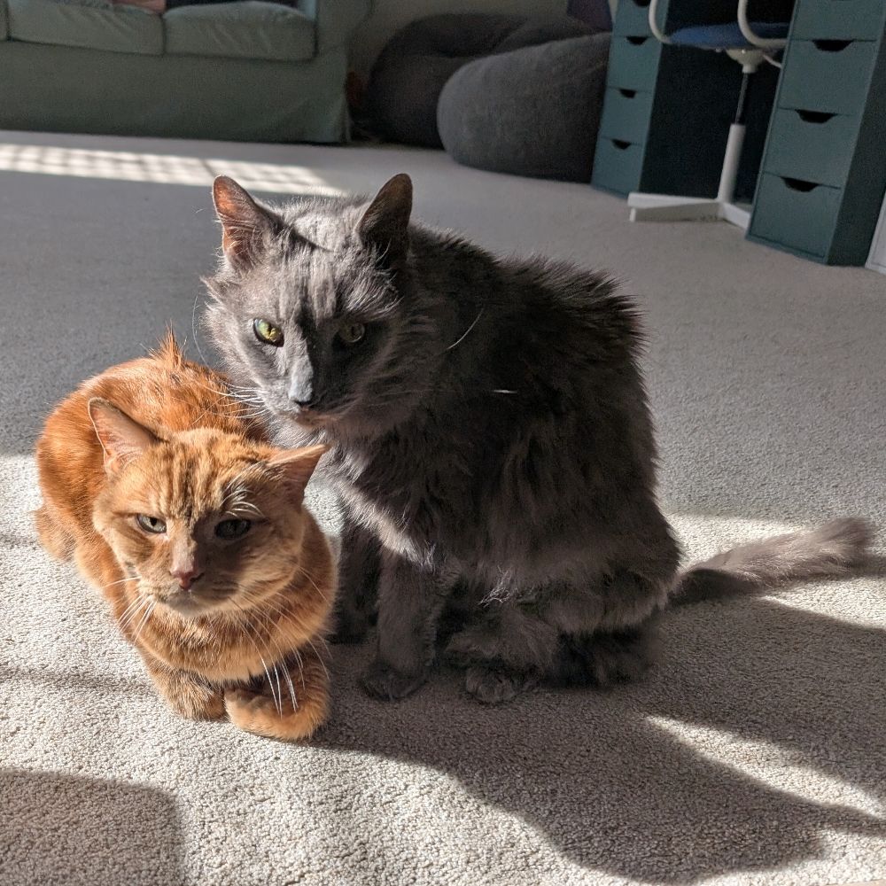 petunia-picklebutt.bsky.social