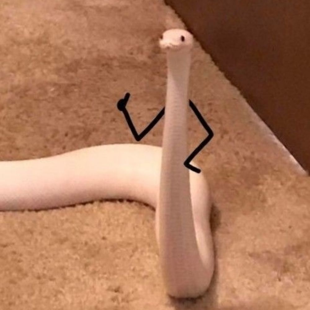 Ssskarn