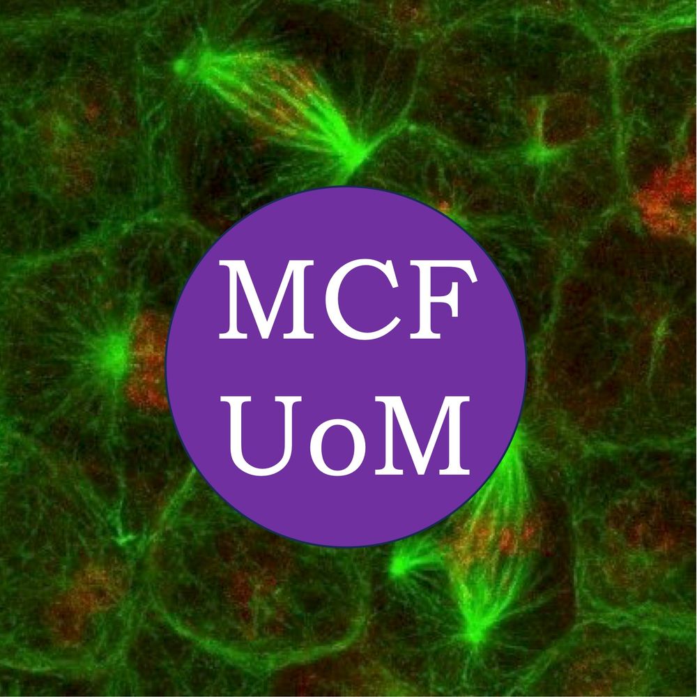 Molecular and Cellular Function, University of Manchester