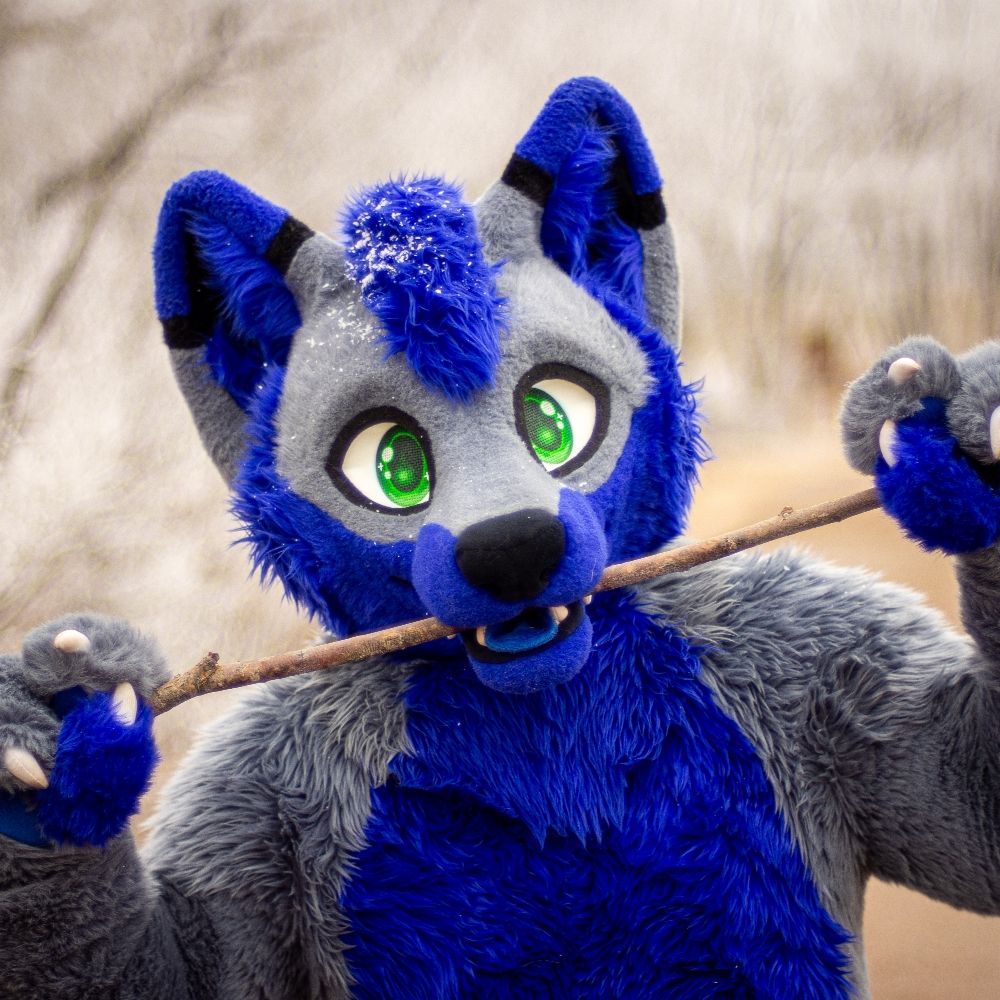 Burumun Wolf