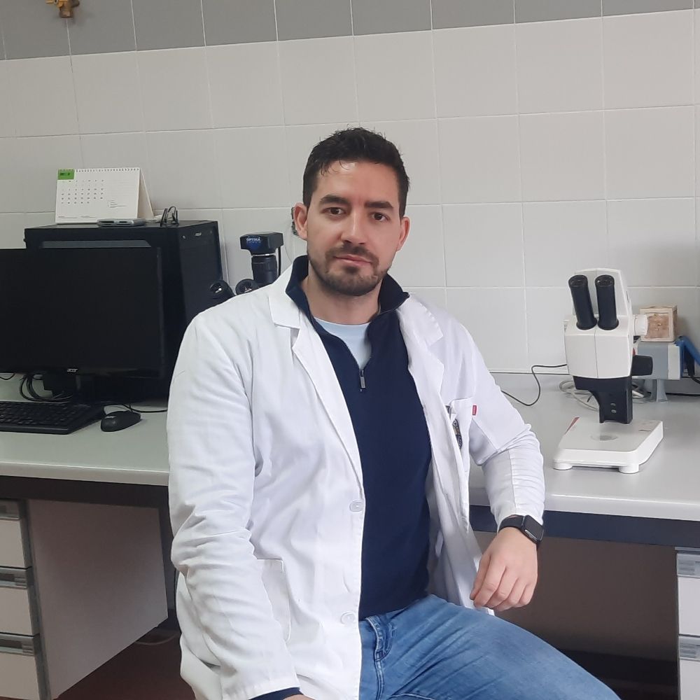 Daniel Bravo