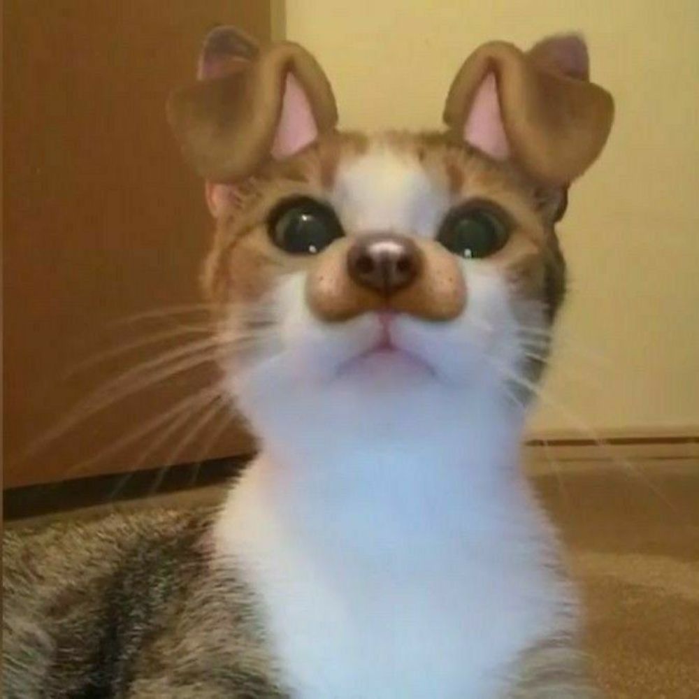 Tsuk