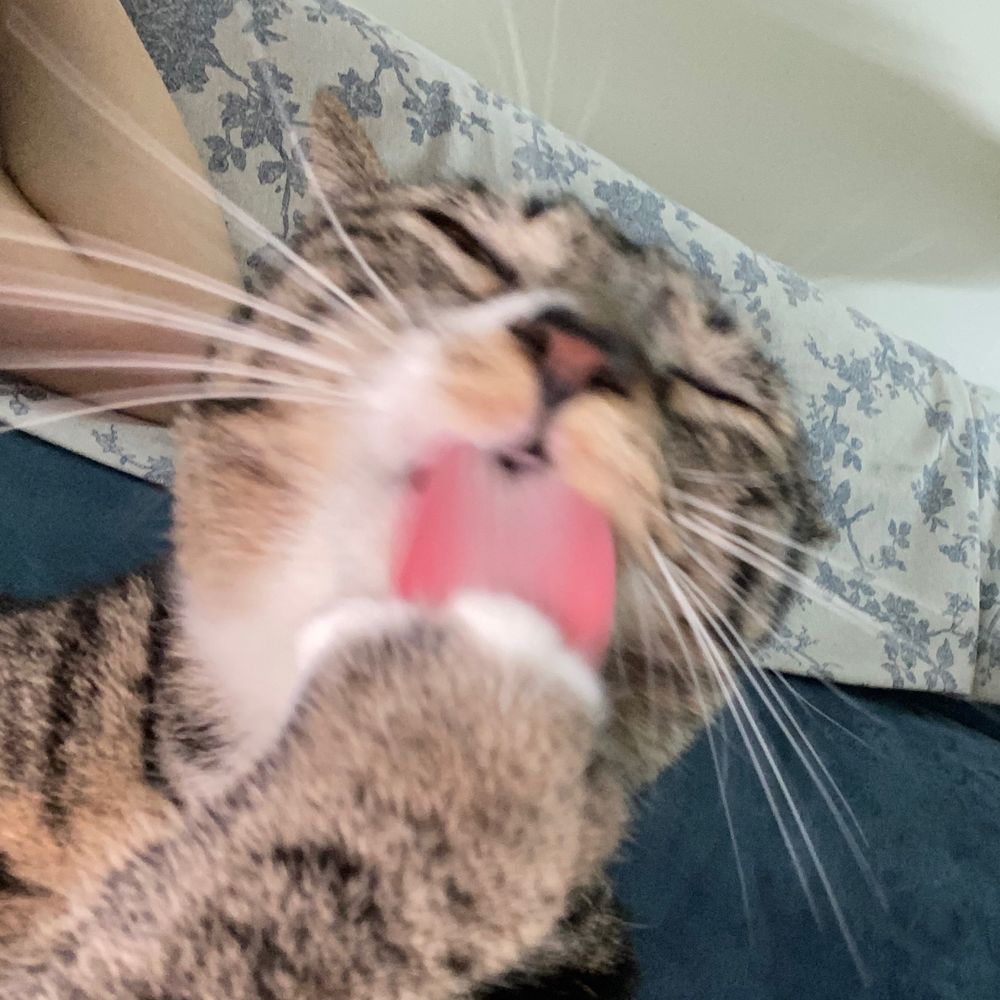 록록