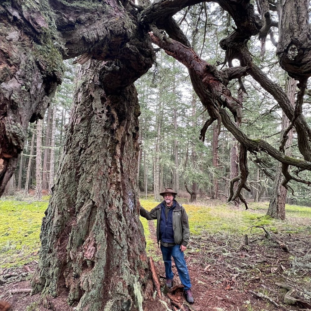 PNW wanderings