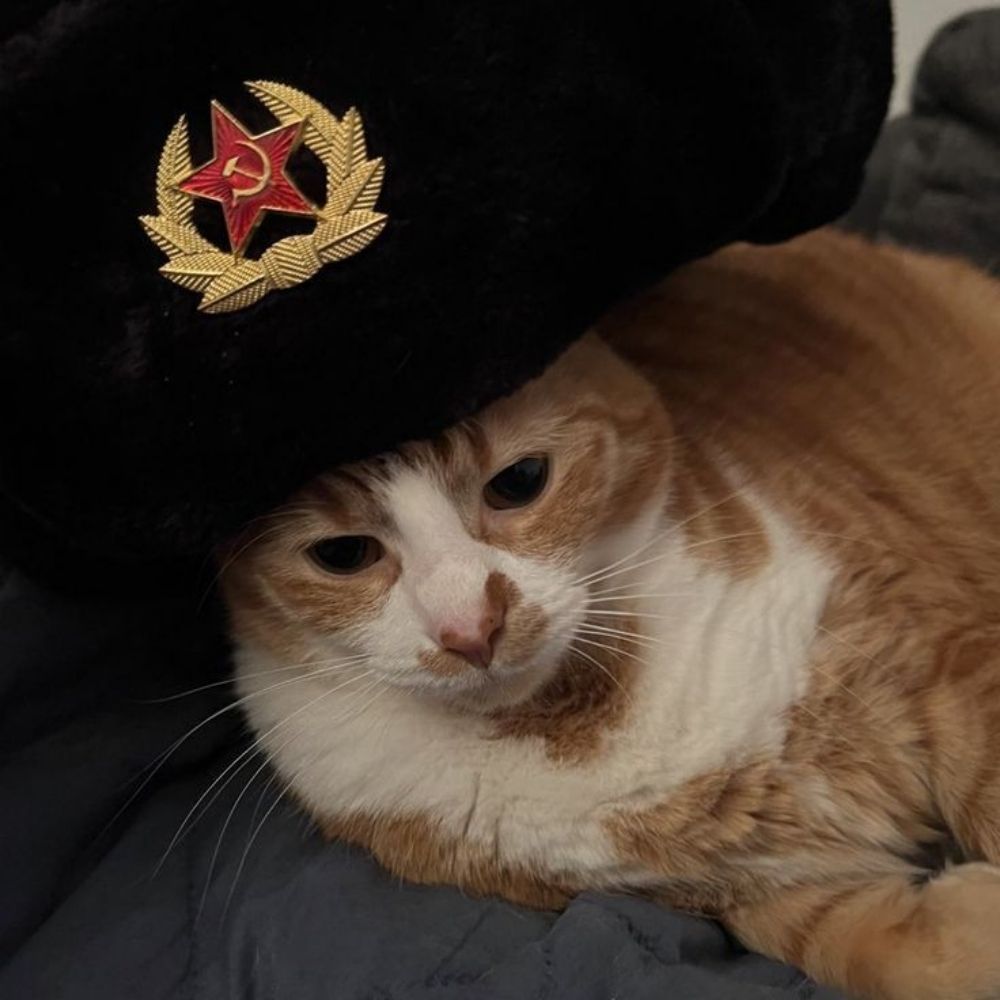 kaelan