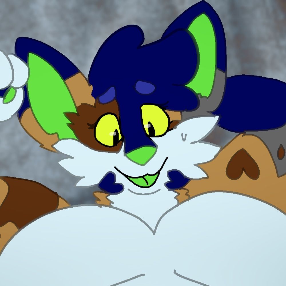 Boof