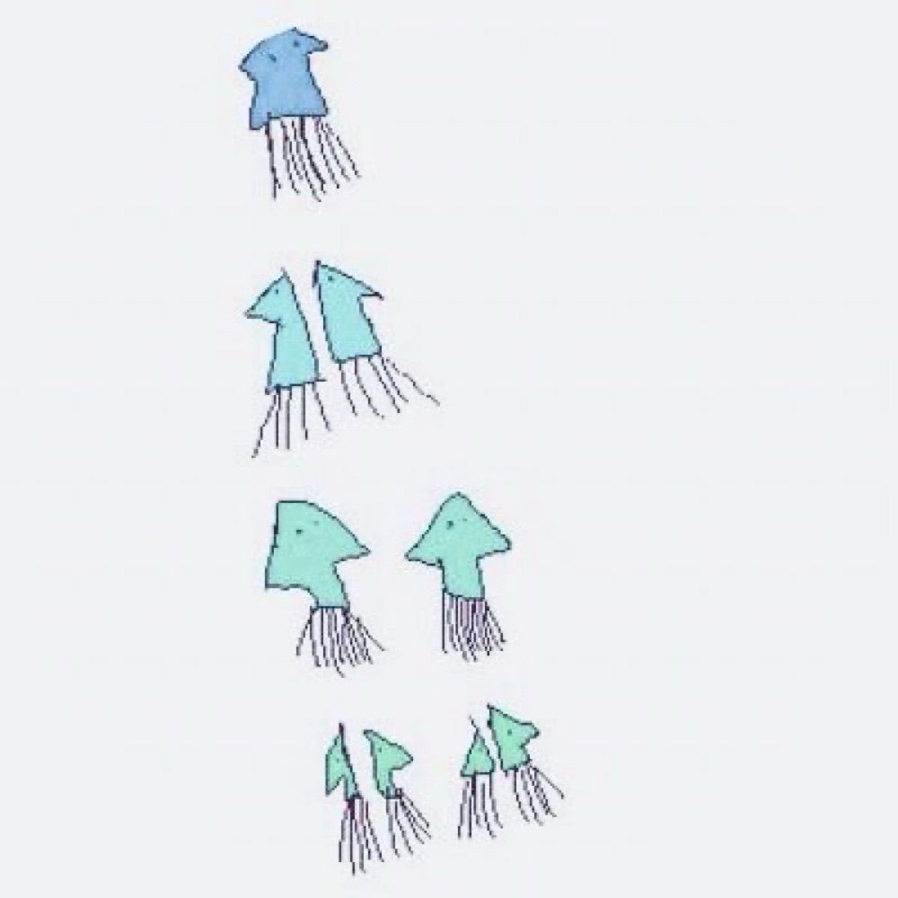 するめり
