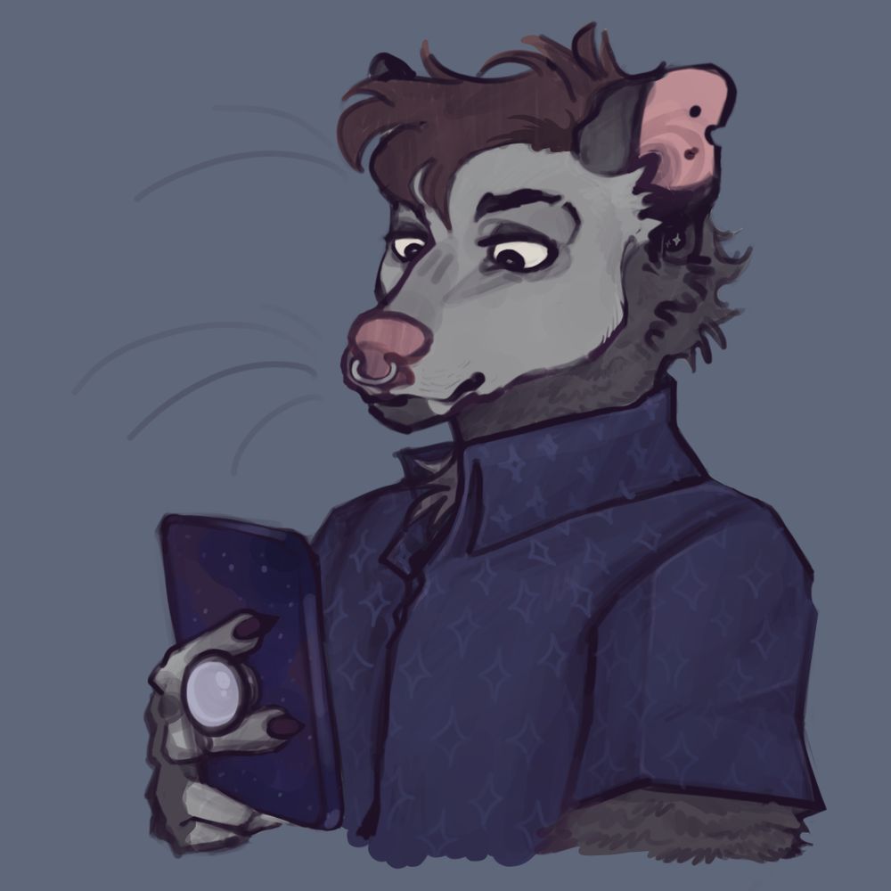 Gray The Possum