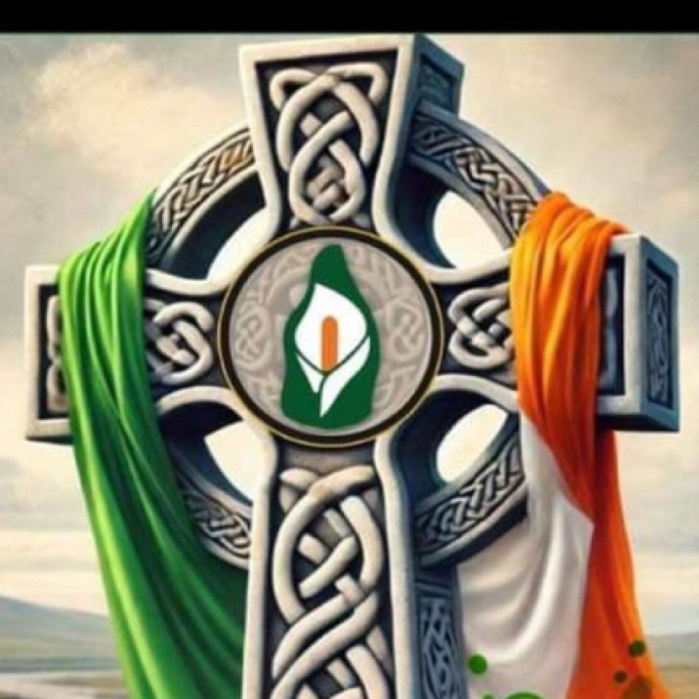 TOMMYTHETIM☘️