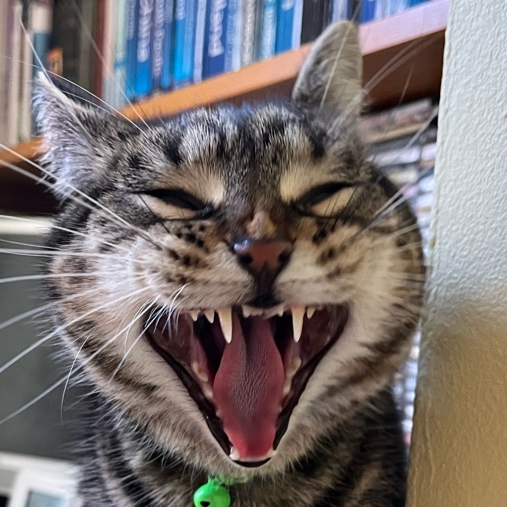 NothingtoFearExceptFearItself's avatar