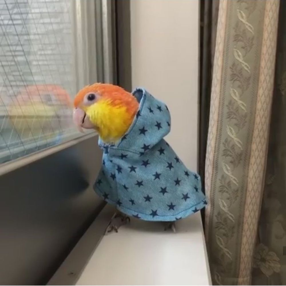 Mychinnᶜʳᶠ