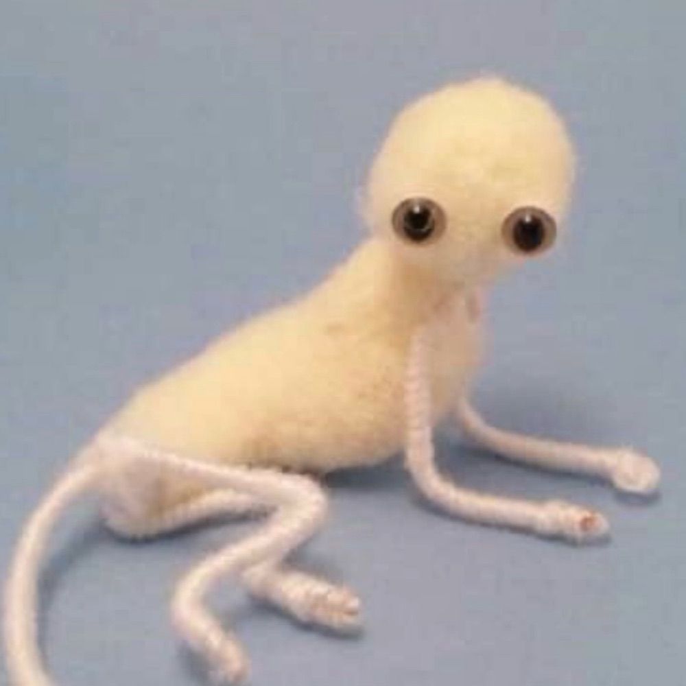 coolest person in the world