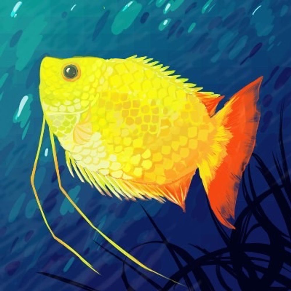 海魚