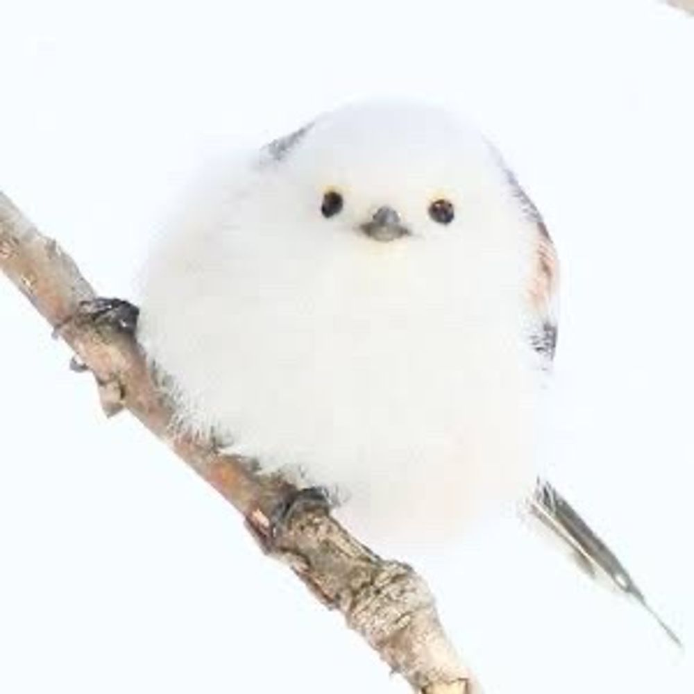 ゆーー