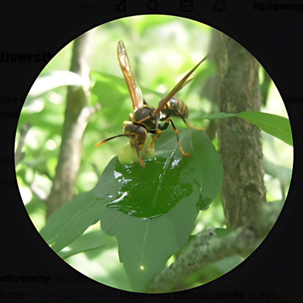 Zoological Biodiversity
