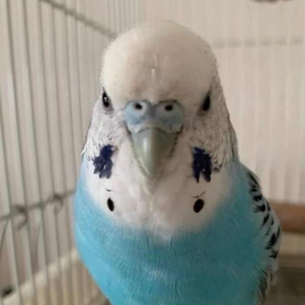 ゆっち