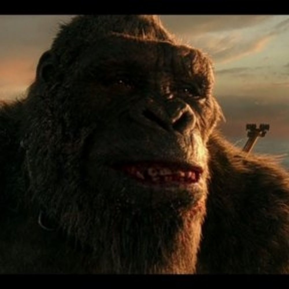 Gorillageek27