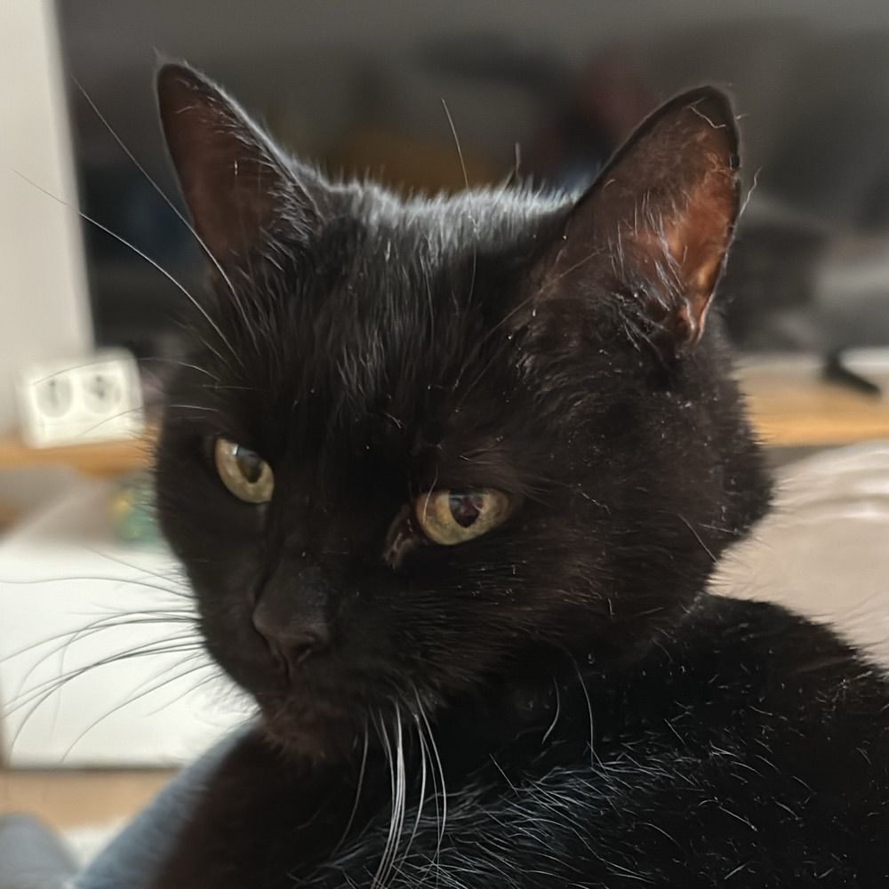 Lily IsMyName