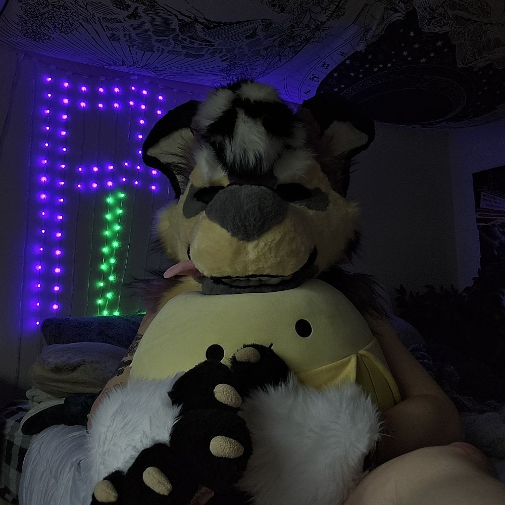 ⚡️Asher Pinefox⚡️