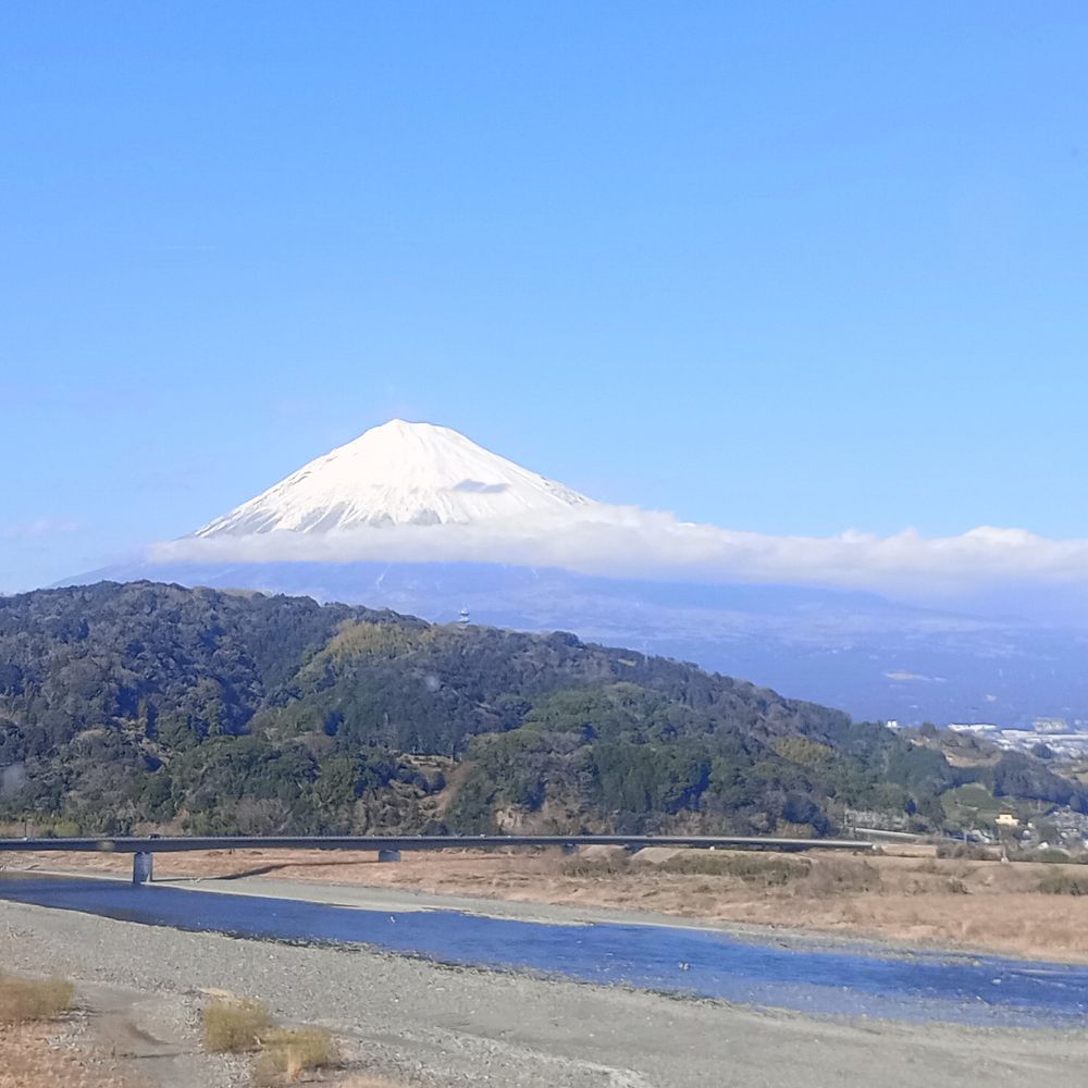 みの