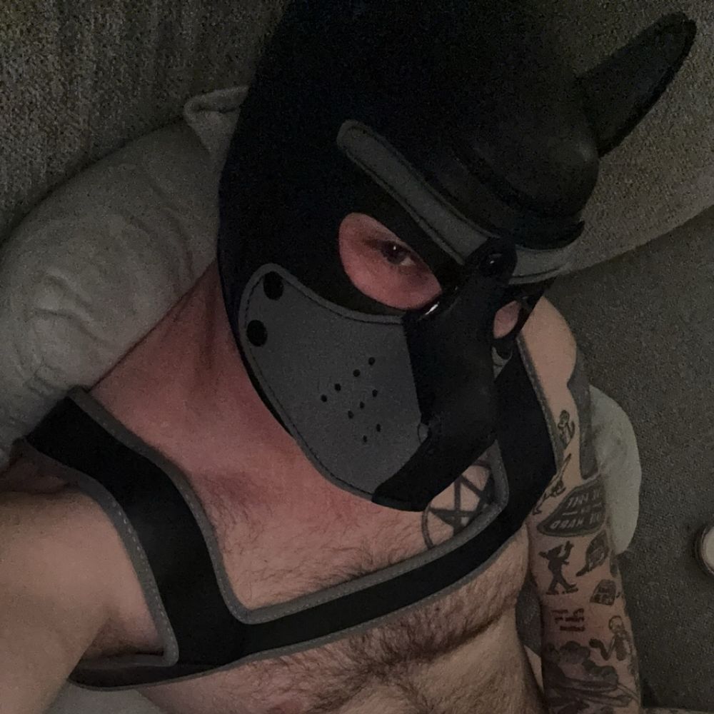 Pup Achillis