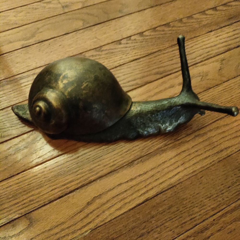 Bronze Snail (she/her)