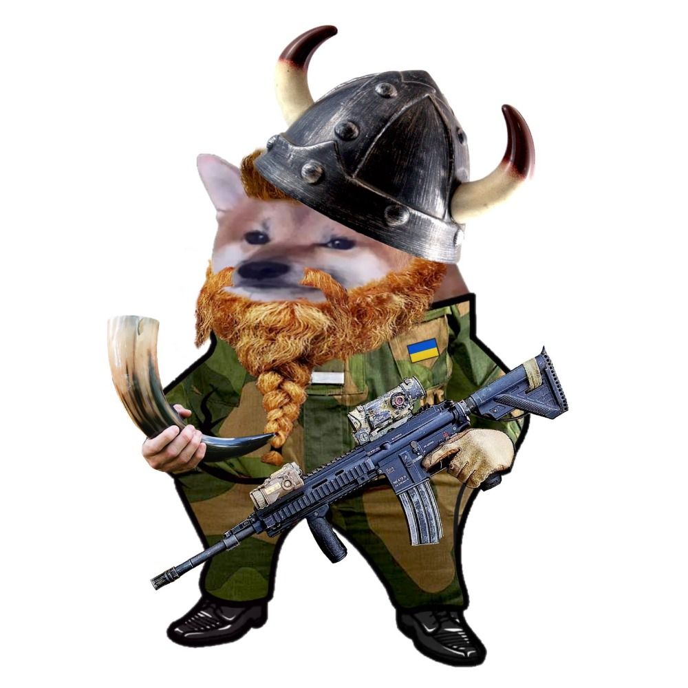 VikingFella 🇳🇴🇺🇦✚