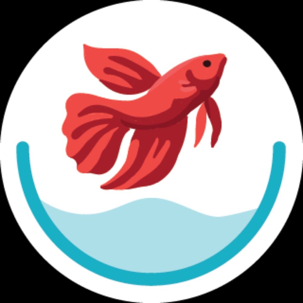 Betta World For Bettas