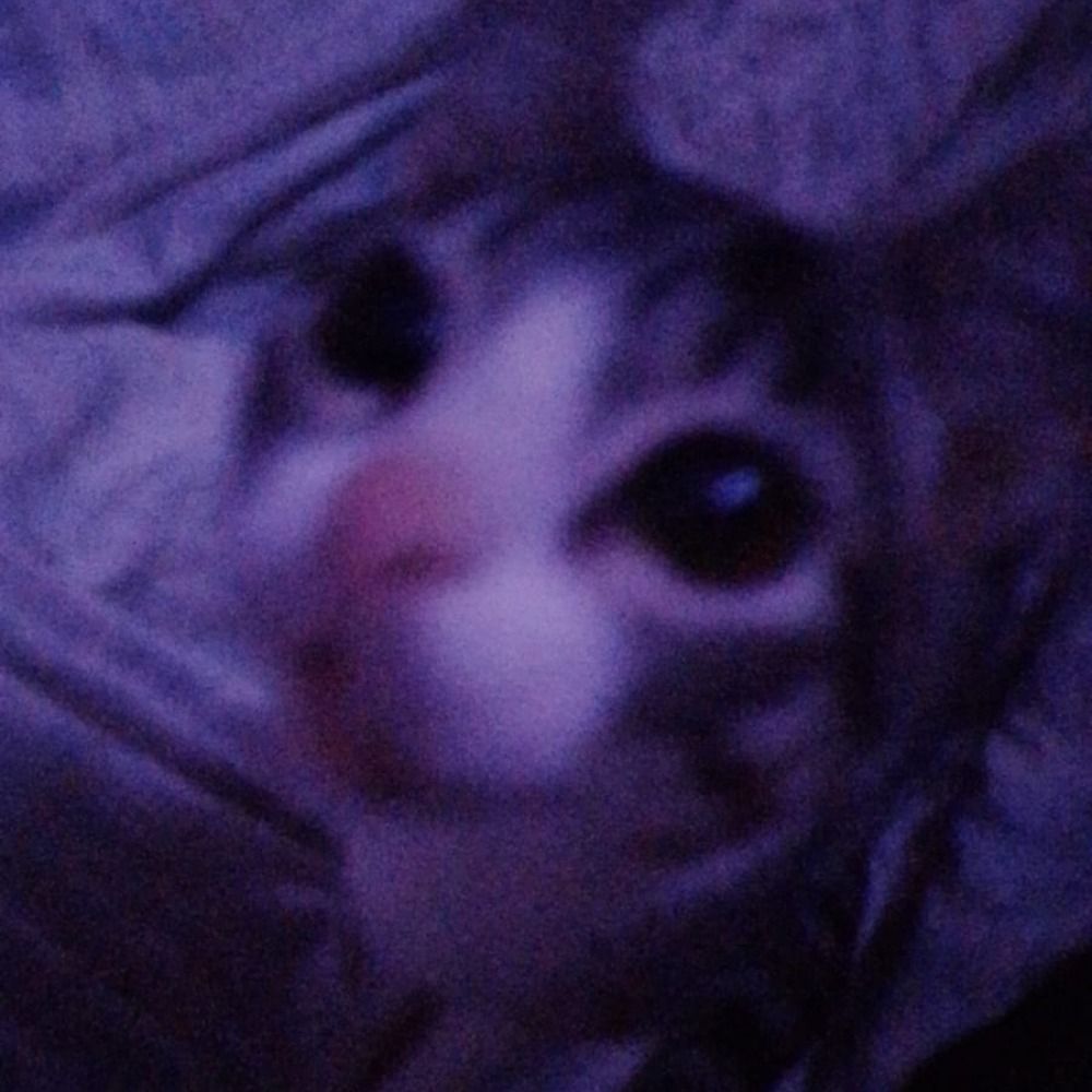 kal !!!