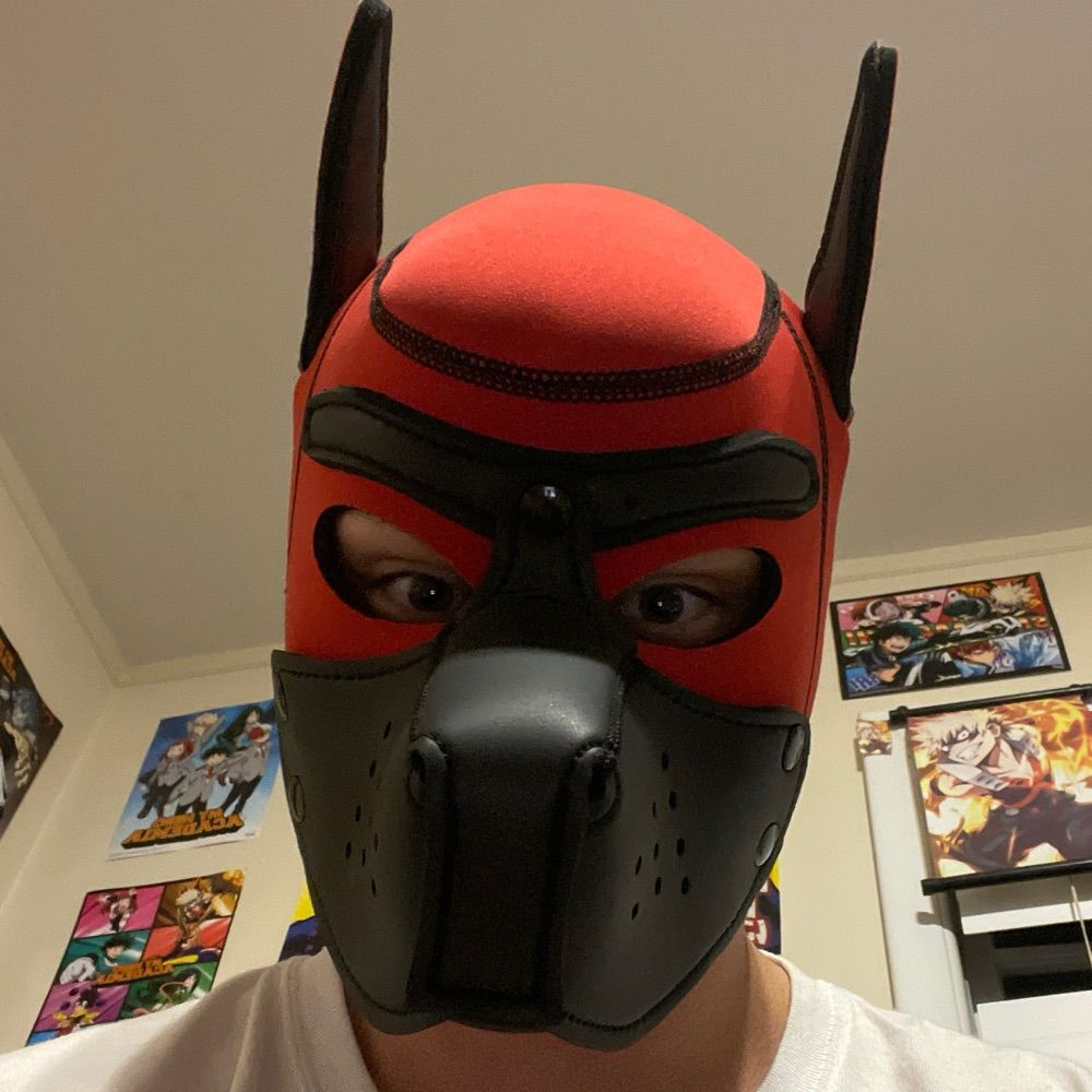 Profile picture pupcrimson17.bsky.social