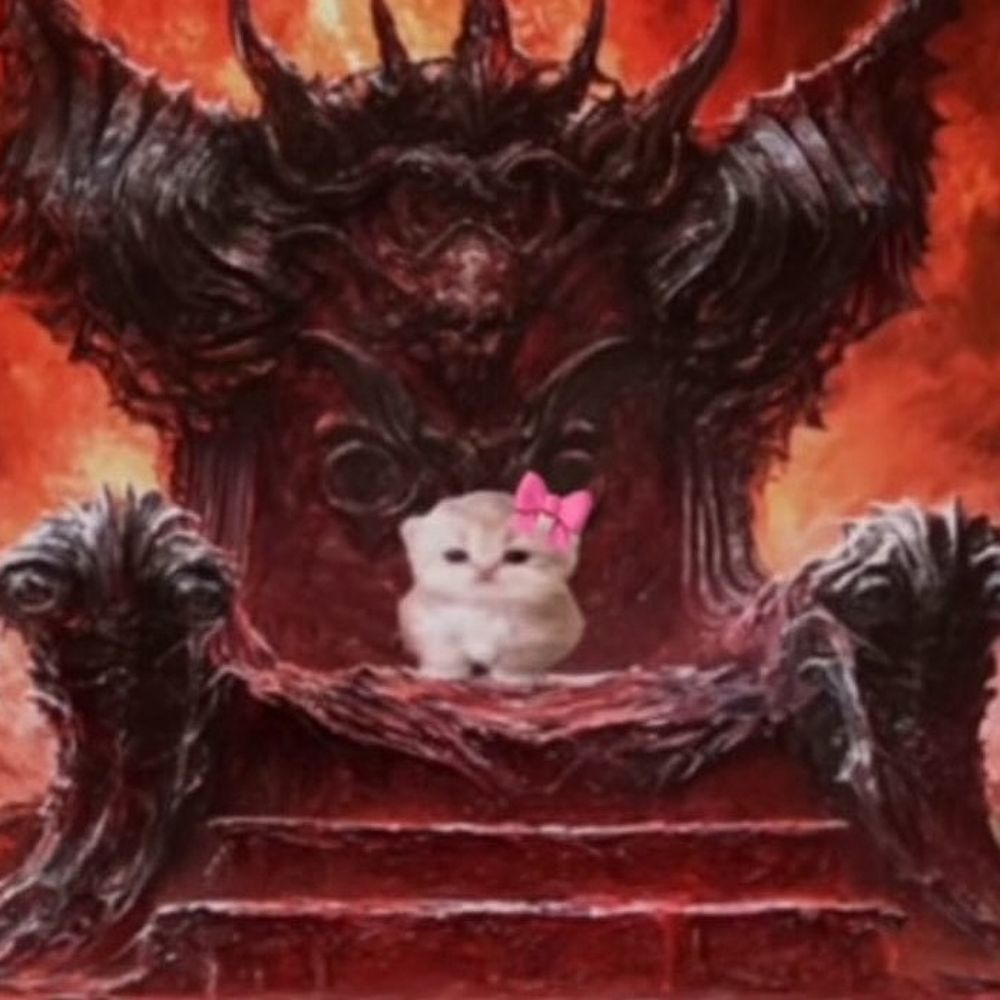 🐈‍⬛