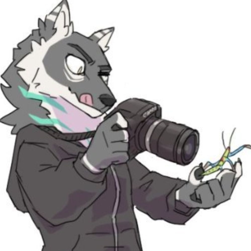 HarbsBugPics's avatar