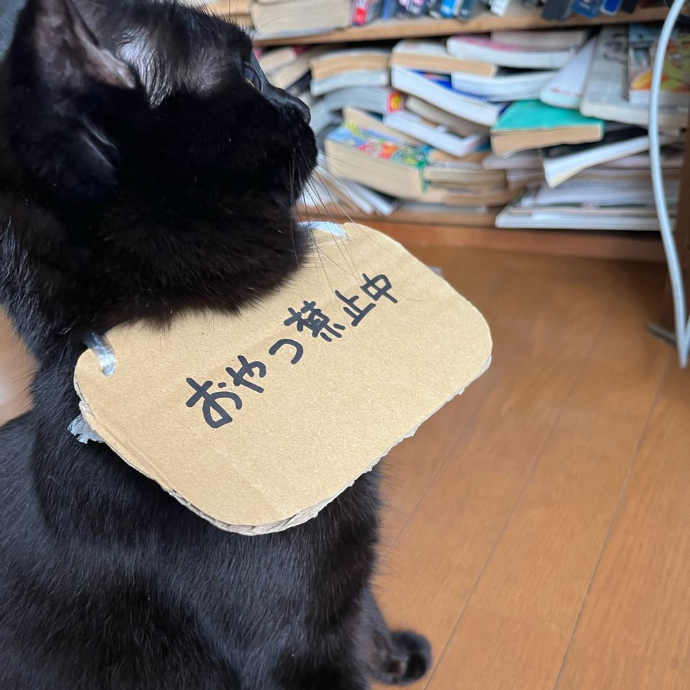 たたたたん
