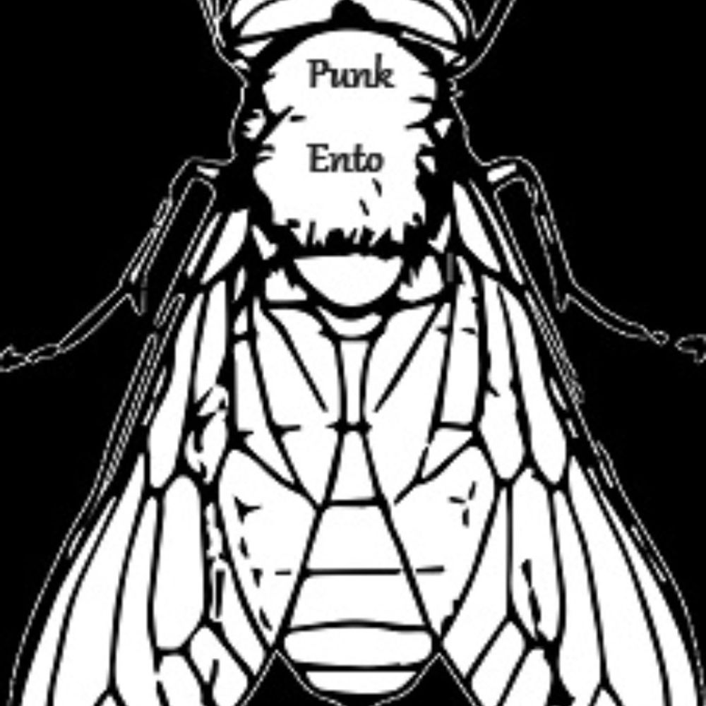 Punk_Entomology -> DragonCon