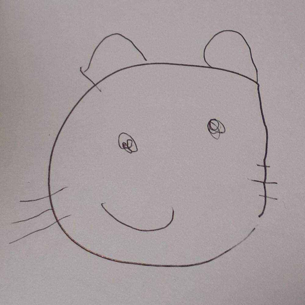 もこ