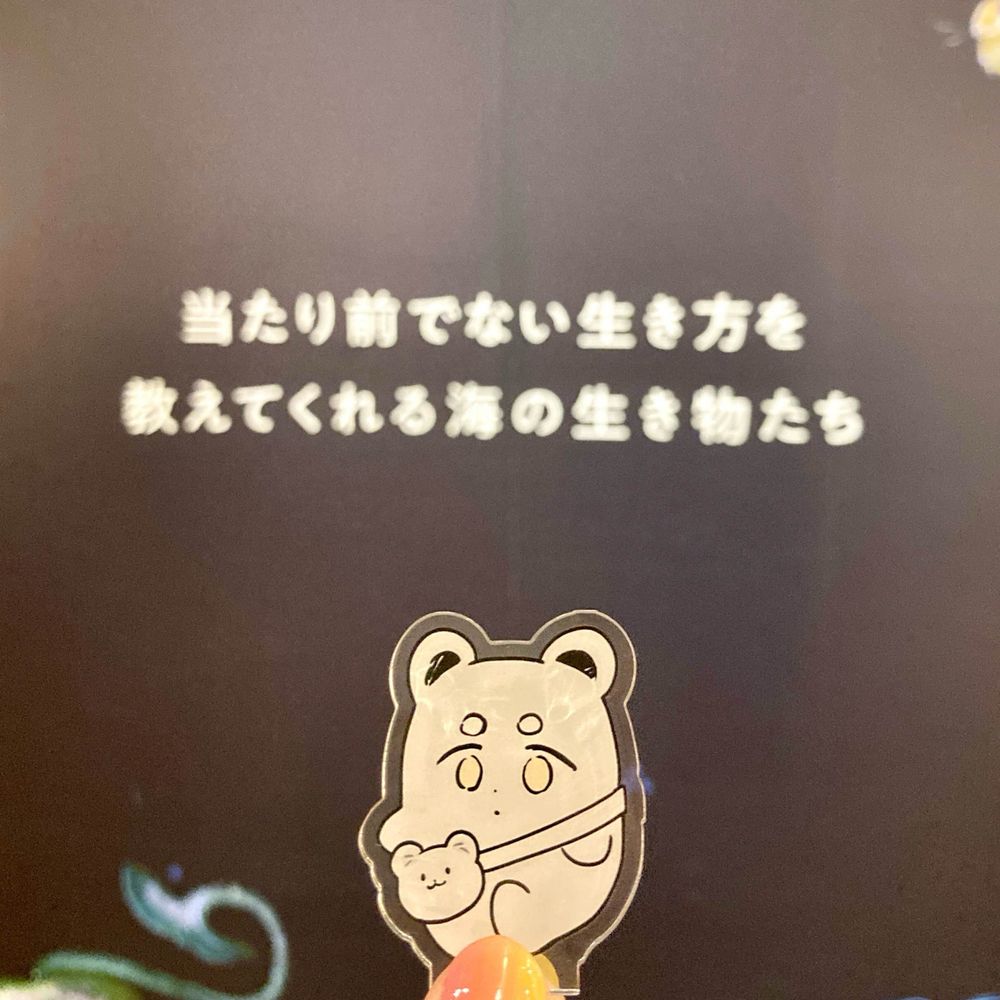 テン🍑