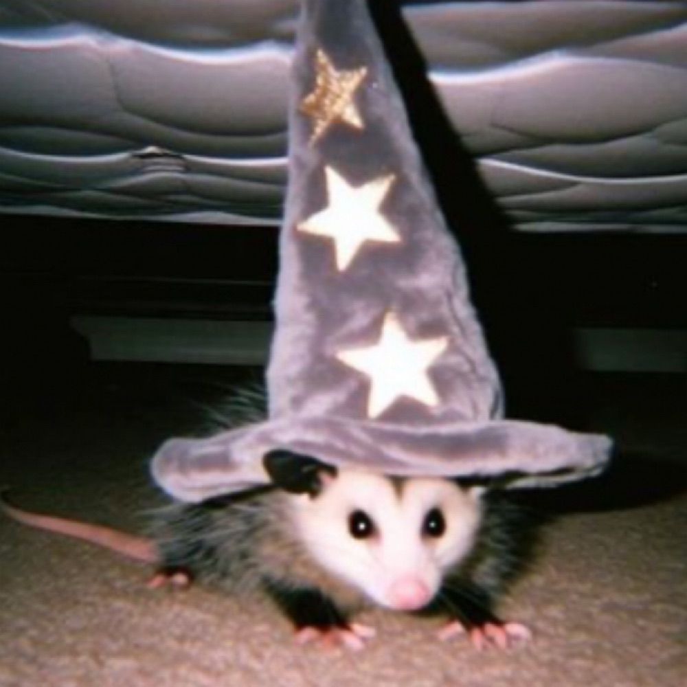caffeine wizard