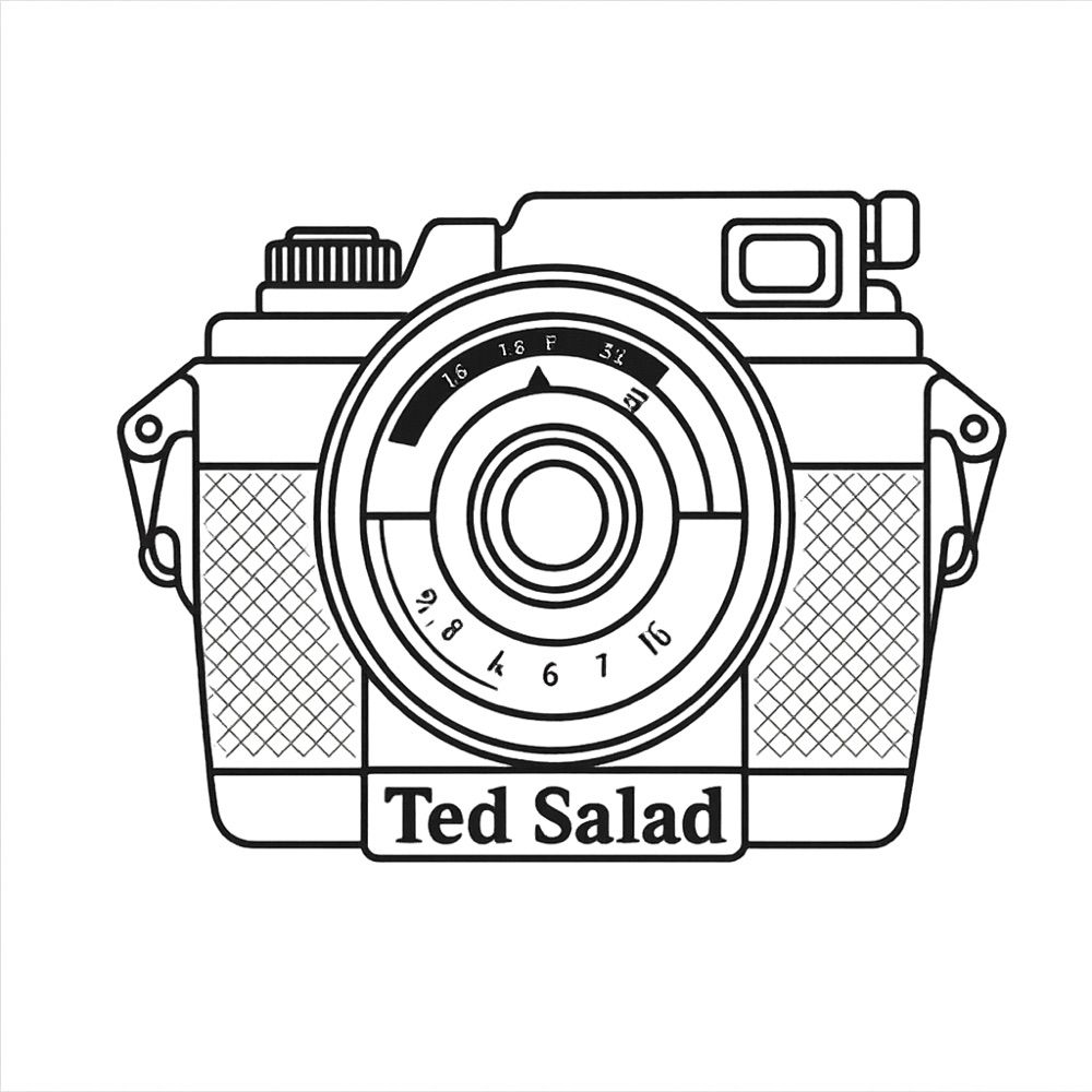 TedSalad