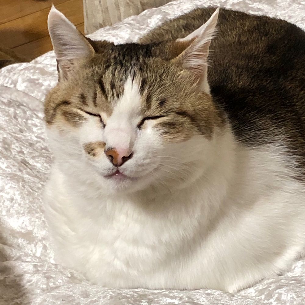 理央