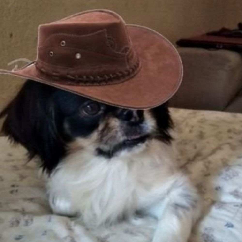 Jusecarlito