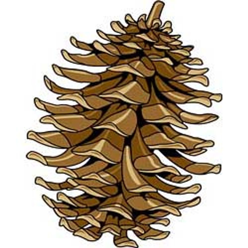 Pinecone The Deer