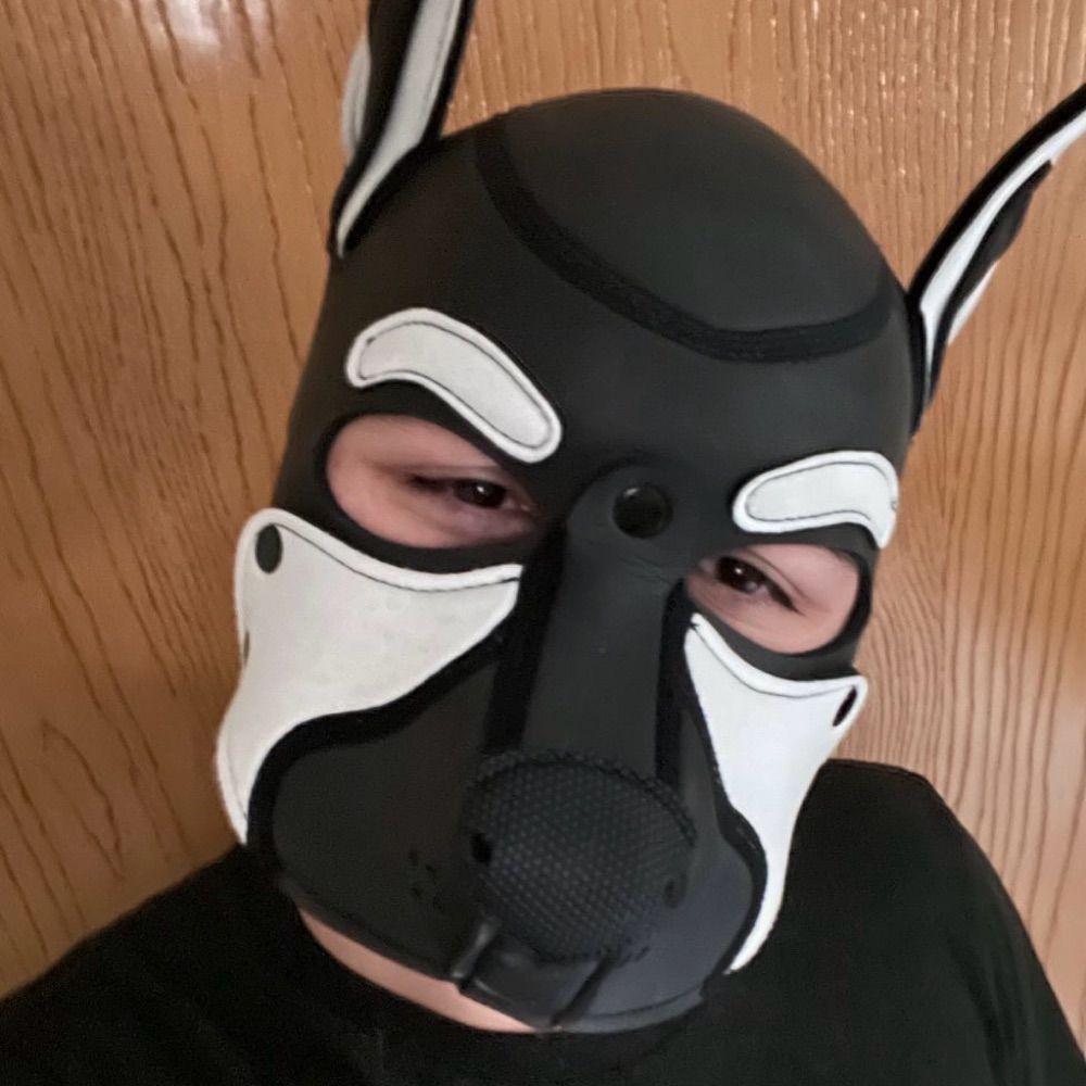 ARKPup