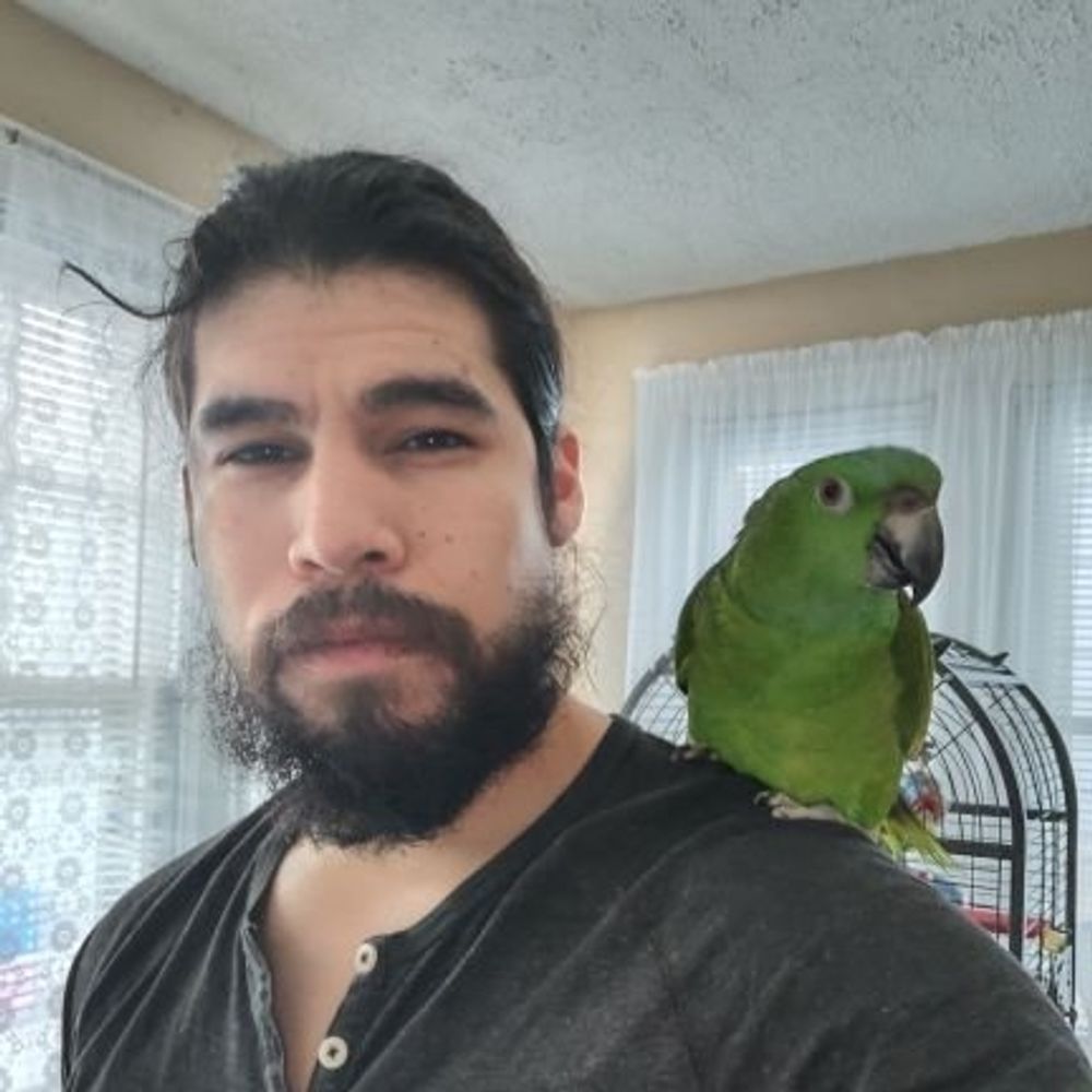 The Gray Son 