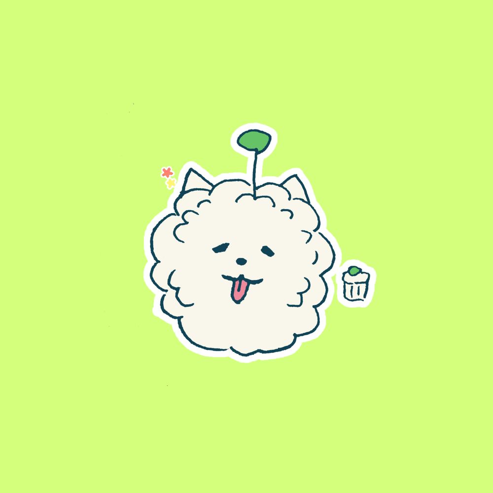 ちゃも