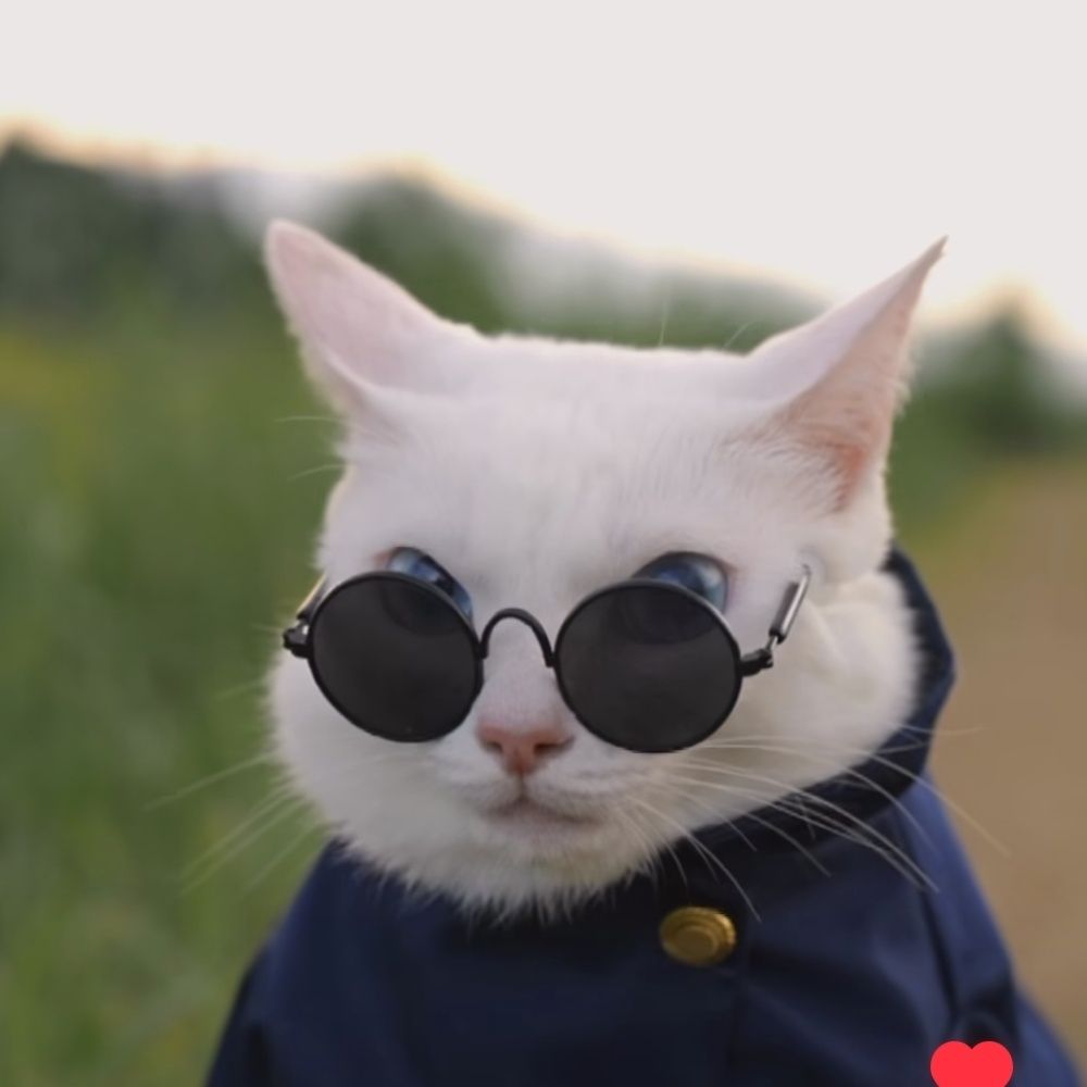 くらげ