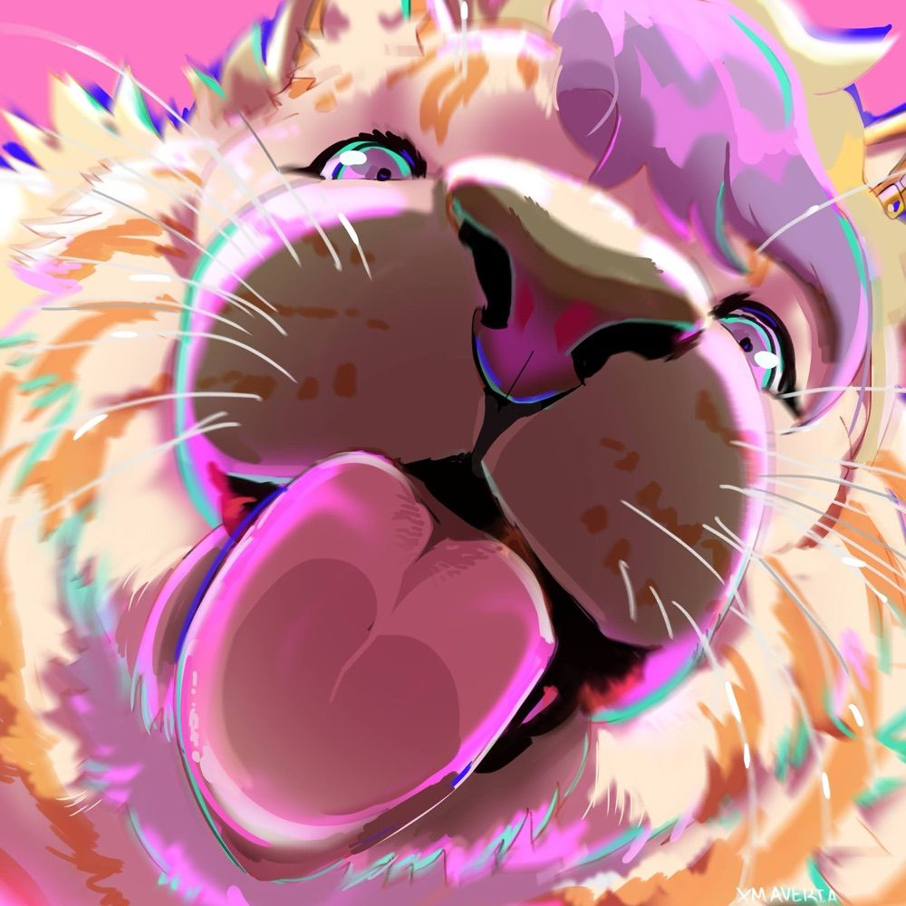 Harpurr