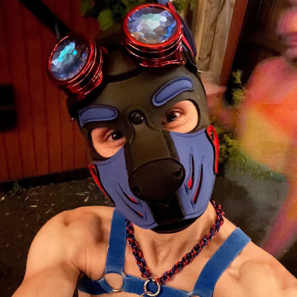 Pup Victor's avatar