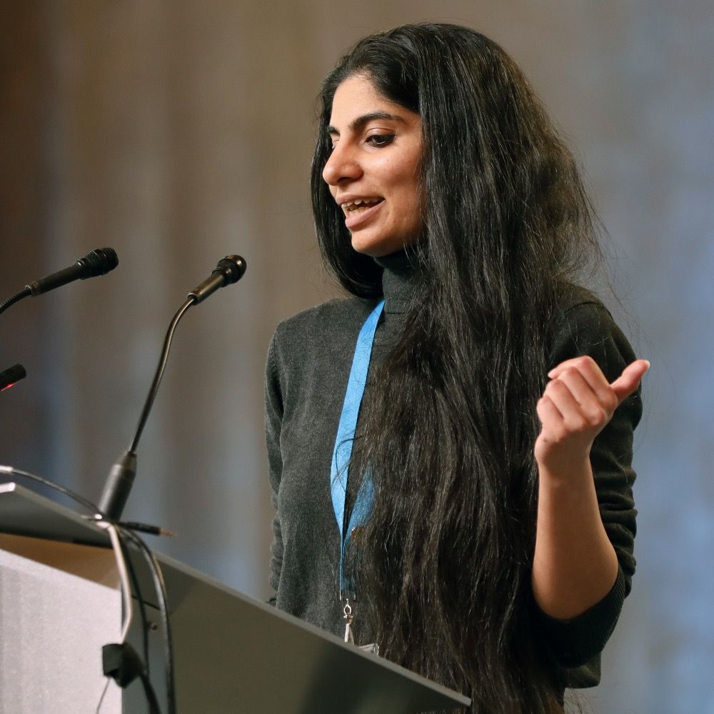 Bani Maini